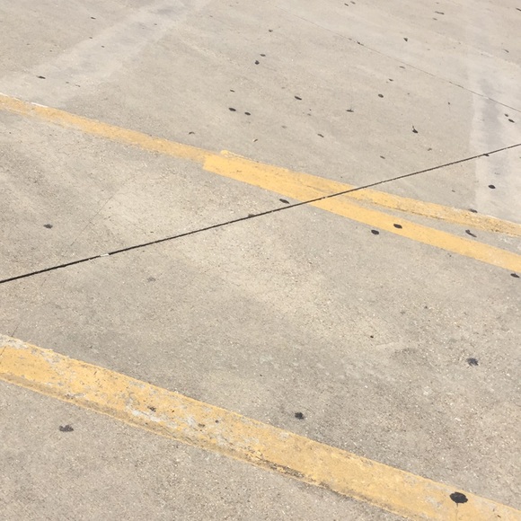 Meet your Posher, Pierina - Picture 1 of 1